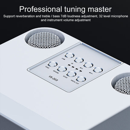 YS-203 Bluetooth-Karaoke-Lautsprecher, kabelloses Mikrofon, YS-203 (Schwarz), YS-203 (Rot), YS-203 (Silber)