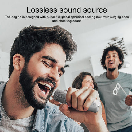 YS-203 Bluetooth-Karaoke-Lautsprecher, kabelloses Mikrofon, YS-203 (Schwarz), YS-203 (Rot), YS-203 (Silber)