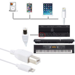 1m 8 Pin to Type-B Male Piano / Electronic Piano Cable MIDI Cable Adapter, 8 Pin