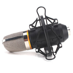 for Studio Recording, Live Broadcast, Live Show, KTV, etc., Shock Holder