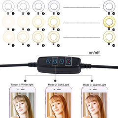 With 3-Light Mode, 10-Level Brightness LED Desk Lamp, Compatible with iPhone / Android,  for Live Stream, KTV, Live Broadcast, Live Show, etc