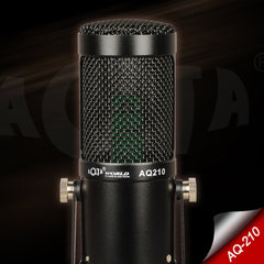 AQ-210 K Song Live Recording Capacitor Microphone