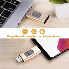 Richwell 3 in 1 128G Type-C + 8 Pin + USB 3.0 Metal Push-pull Flash Disk with OTG Function