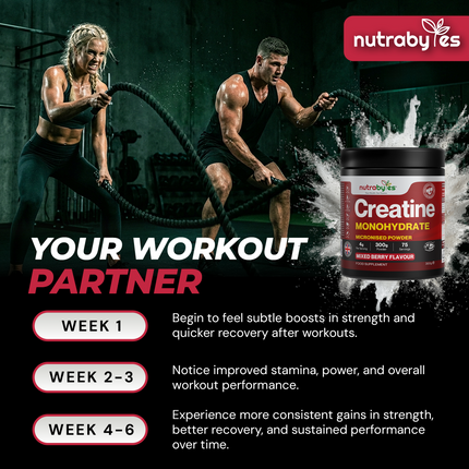 Flavoured Creatine Monohydrate, 300g Mixed Berry