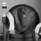 2.4GHz Rechargeable / Black