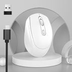 2.4GHz Rechargeable / White