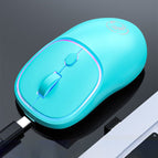 W-618 2.4GHz / Blue