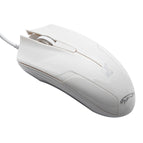 119 White / White