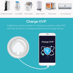 10A Round Shape WiFi Mini Plug APP Remote Control Timing Smart Socket Works with Alexa & Google Home, AC 100-240V, US Plug, 10A US Plug(Round Shape)