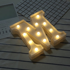 Dry Battery Powered Warm White Standing Hanging LED Holiday Light