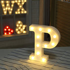 P / LED6216P