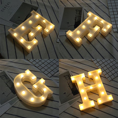 Dry Battery Powered Warm White Standing Hanging LED Holiday Light