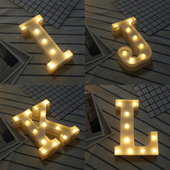 Dry Battery Powered Warm White Standing Hanging LED Holiday Light