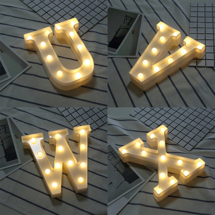Dry Battery Powered Warm White Standing Hanging LED Holiday Light