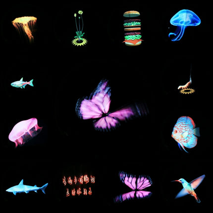 WiFi App Control, Display Resolution: 512 x 512 Pixels, 512 x 512 Pixels with Shell