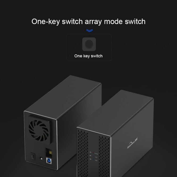 Blueendless Type-C / USB-C Interface 3.5 inch 2 Bay RAID Combination Array HDD External Enclosure, Type-C