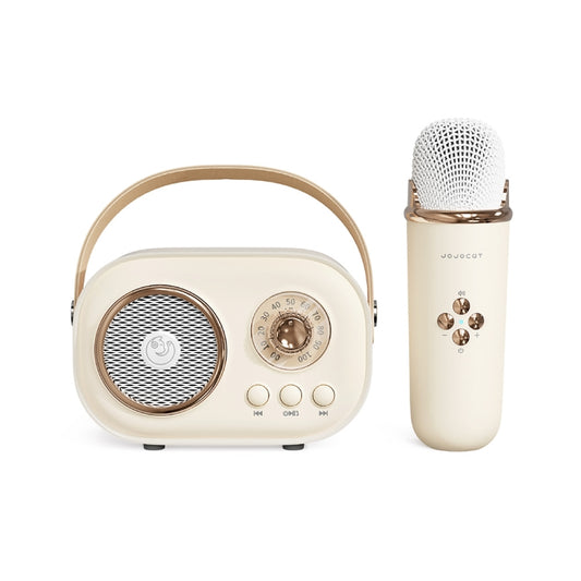 Altavoz Bluetooth multifuncional con micrófono y karaoke C20 Plus