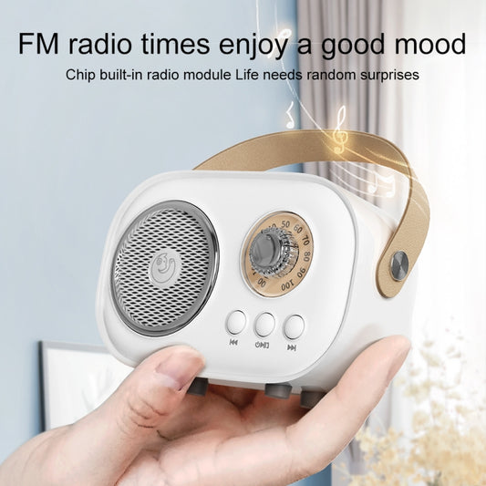 Altavoz Bluetooth multifuncional con micrófono y karaoke C20 Plus