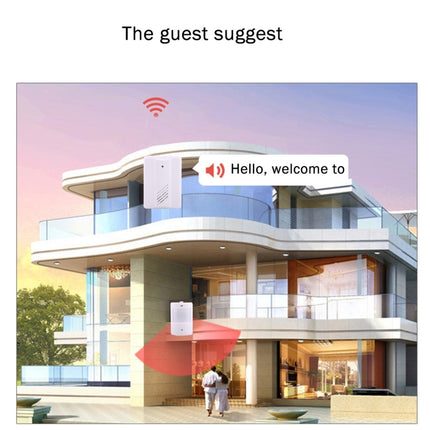 YF-0155 Good Safe Wireless Electro Guard Watch Remote Detective System Kit for Home Office, 1 x Receiver + 1 x  Detector, YF-0155