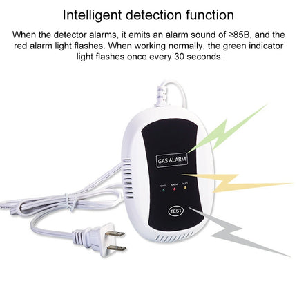 PA-209R Wireless Gas Detection Alarm, AC 100-240V