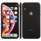 Color Screen XR/Black / Black