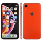 Color Screen XR/Orange / Orange