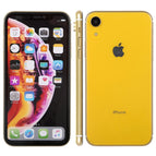 Color Screen XR/Yellow / Yellow