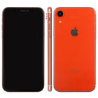 XR/Orange / Orange