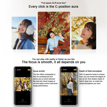 Honor 300 Pro, 12GB+256GB, Screen Fingerprint, 6.78 inch MagicOS 9.0 / Android 15 Snapdragon 8 Gen 3 Octa Core, Network: 5G, NFC, OTG, Not Support Google Play, Honor 300 Pro, 12GB+256GB