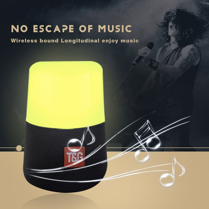 T&amp;G TG168 Tragbarer kabelloser Bluetooth V5.0-Stereolautsprecher mit Griff, eingebautem Mikrofon, unterstützt blinkendes LED-Licht &amp; TF-Karte &amp; U-Disk &amp; AUX IN &amp; FM, TG168