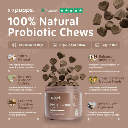 Pre & Probiotic Treats