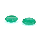 Green / Green