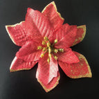 Red Onion / 15cm Golden Edge Flower / 1pc