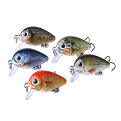 HENGJIA 5 PCS 2.7cm/1.5g Luya Rock Fishing Lures Bait Bionic Kit with Plastic Box, Box008