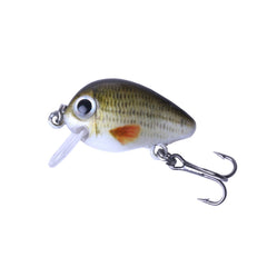 HENGJIA 5 PCS 2.7cm/1.5g Luya Rock Fishing Lures Bait Bionic Kit with Plastic Box, Box008