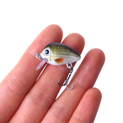 HENGJIA 5 PCS 2.7cm/1.5g Luya Rock Fishing Lures Bait Bionic Kit with Plastic Box, Box008