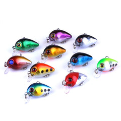 HENGJIA 10 PCS 3cm/1.5g Luya Rock Fishing Lures Bait Bionic Kit with Plastic Box, Box014