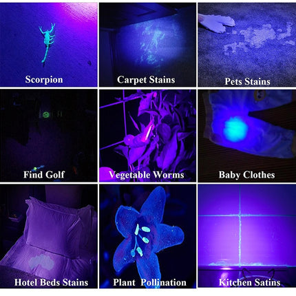 1902B Flashlight Rechargeable Lantern 4 Lighting Mode, 1902A, 1902B