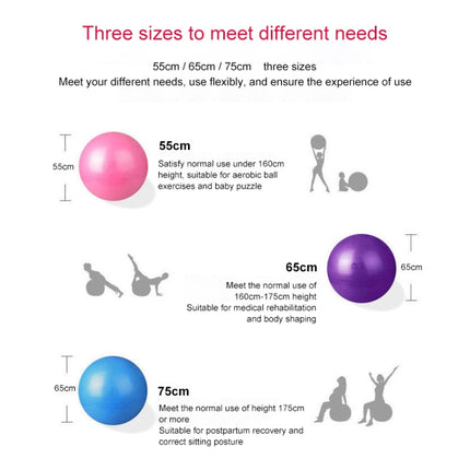 Thickening Explosion-proof Big Yoga Ball Sport Fitness Ball Environmental Pregnant Yoga Ball, Diameter: 65cm, 65cm(Blue), 65cm(Purple), 65cm(Pink)