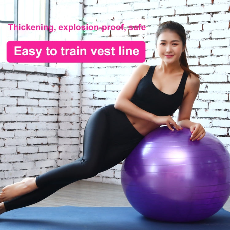 Thickening Explosion-proof Big Yoga Ball Sport Fitness Ball Environmental Pregnant Yoga Ball, Diameter: 65cm, 65cm(Blue), 65cm(Purple), 65cm(Pink)