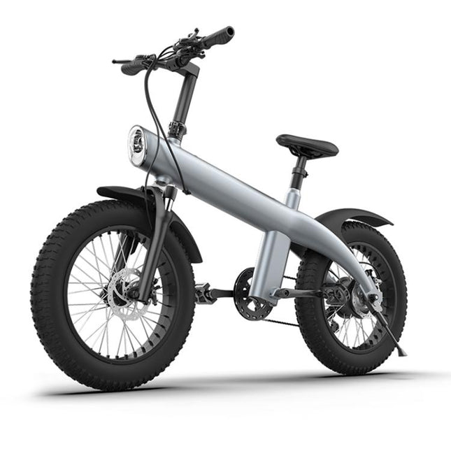 Q3 250W All-terrain Off-road Electric Bicycle with 20 inch Tires, EU Plug (Black)