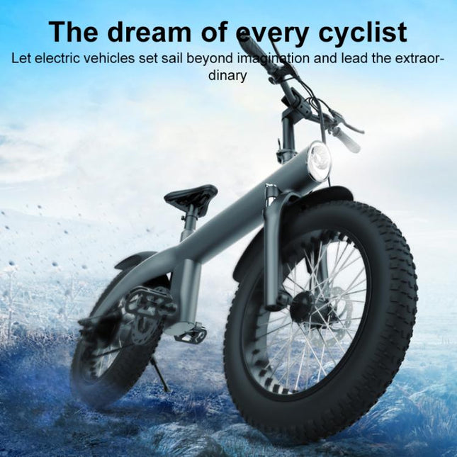 Q3 250W All-terrain Off-road Electric Bicycle with 20 inch Tires, EU Plug (Black)