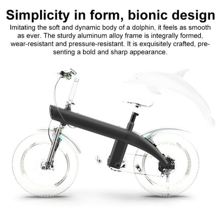 Q3 250W All-terrain Off-road Electric Bicycle with 20 inch Tires, EU Plug (Black)