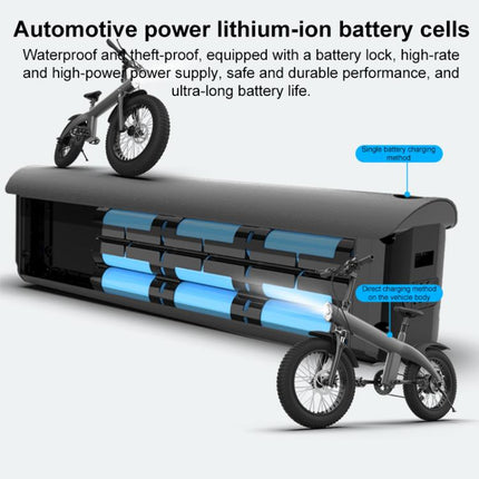Q3 250W All-terrain Off-road Electric Bicycle with 20 inch Tires, EU Plug (Black)