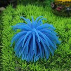 Size: L / Blue