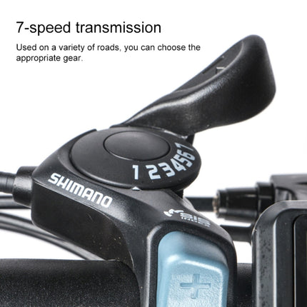 20LVXD30 20 Inch 48V Lithium Battery 350W Mini Valet Driving Folding Electric Bicycle, Black, White