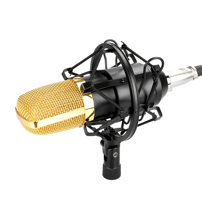 Micrófono de condensador profesional para grabación de sonido FIFINE F-700 con soporte antivibración para transmisión de radio en estudio y transmisión en vivo, puerto para auriculares de 3,5 mm, longitud del cable: 2,5 m