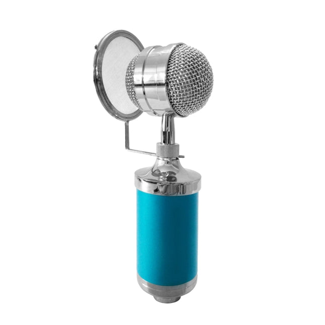 3000 Home KTV Mic Condenser Sound Recording Microphone with Shock Mount & Pop Filter for PC & Laptop, 3.5mm Earphone Port, Cable Length: 2.5m