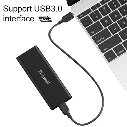 Richwell SSD R280-SSD-480GB 480GB Mobile Hard Disk Drive for Desktop PC, 480GB