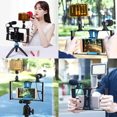 PULUZ 3 in 1 Vlogging Live Broadcast LED Selfie Light Smartphone Video Rig Kits with Microphone + Cold Shoe Tripod Head for iPhone, Galaxy, Huawei, Xiaomi, HTC, LG, Google, and Other Smartphones, 3-in-1, 3-in-1(Red), 3-in-1(US), 3-in-1(UAE)